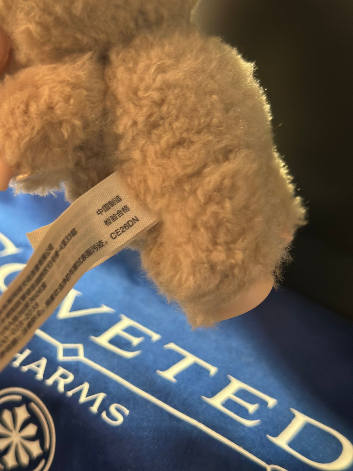 V1 2023 cloth tag Excited Macaron Toffee (205) CE26DN